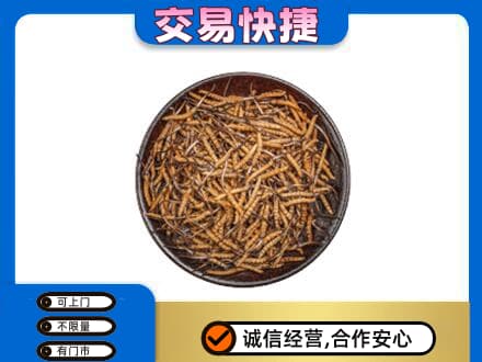 温州市龙湾回收散虫草