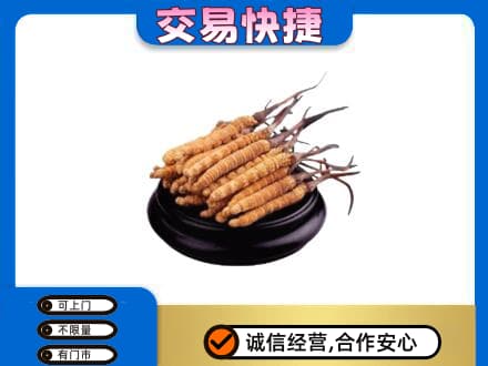 温州市龙湾礼品回收散虫草.jpg